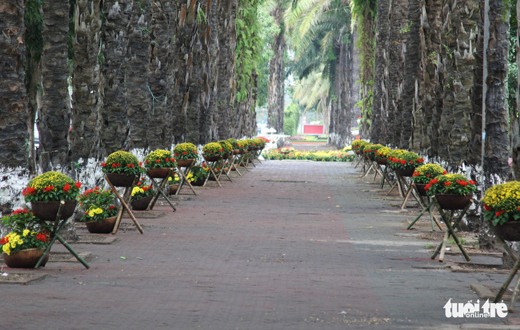 Hàng loạt giỏ hoa trang trí tết trên đường phố Nghệ An bị trộm - Ảnh 2.