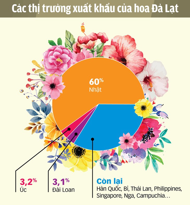 Con đường thành vựa hoa châu Á - Ảnh 4.