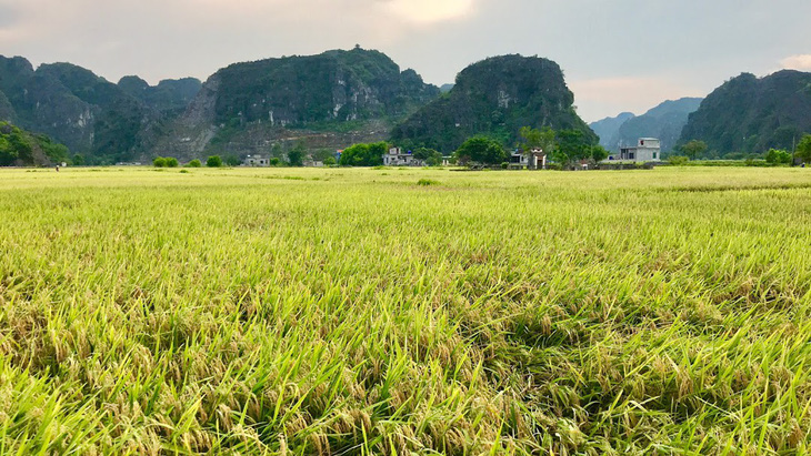 Về núi rừng hùng vĩ ở cố đô Ninh Bình - Ảnh 4.