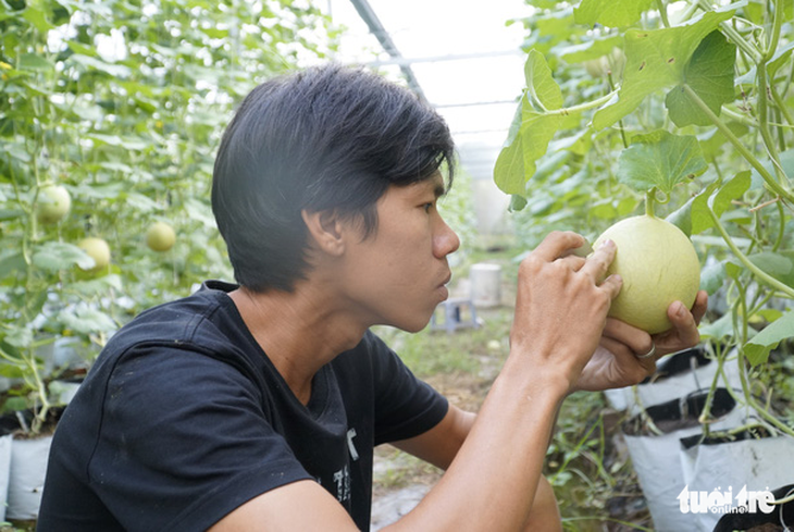 Dưa khắc chữ dịp Tết cháy hàng từ trên giàn - Ảnh 2.