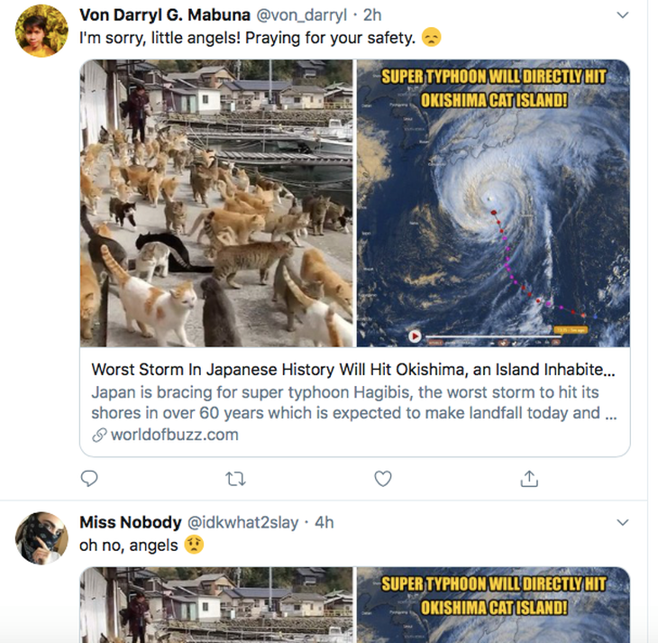 Người Nhật bỏ người, cầu nguyện cho mèo trong siêu bão Hagibis? - Ảnh 3.