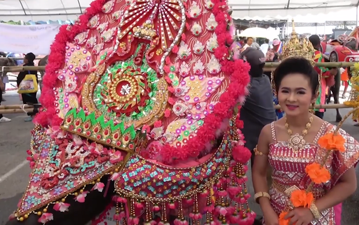 Máy móc lo việc, trâu Thái Lan được rảnh rỗi đi thi hoa hậu