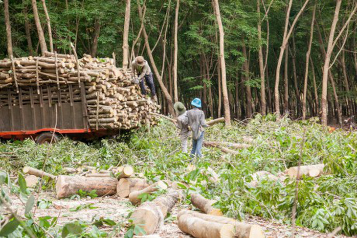 Chiếm đoạt tiền xong, nhắn tin cho nạn nhân ‘mày bị lừa rồi’ - Ảnh 1.