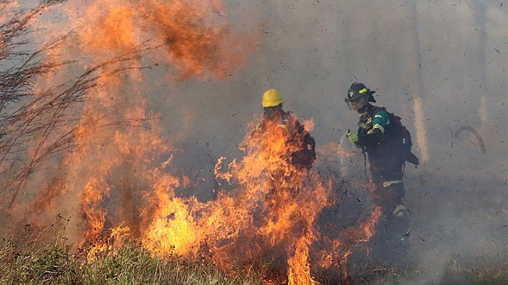 Tìm ra phương pháp phòng chống cháy rừng thân thiện với môi trường - Ảnh 1.