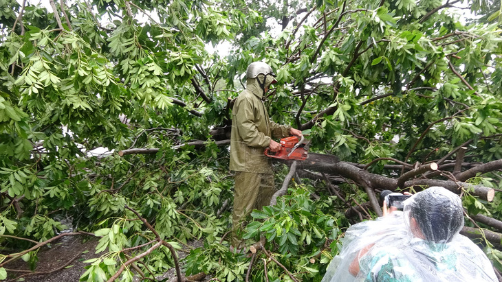 Tâm bão Quy Nhơn ngổn ngang sau mưa gió, 18 tàu cá Phú Yên chìm - Ảnh 5.