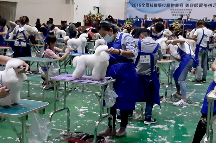 Cô gái Việt giỏi cắt tỉa làm đẹp cún cưng chinh phục giám khảo Đài Loan - Ảnh 3.