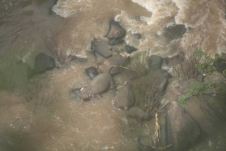 6 con voi mất mạng vì rơi xuống thác nước - Ảnh 1.