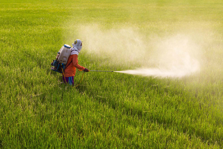 Thái Lan cấm 3 loại hóa chất độc hại trong sản xuất nông nghiệp - Ảnh 1.