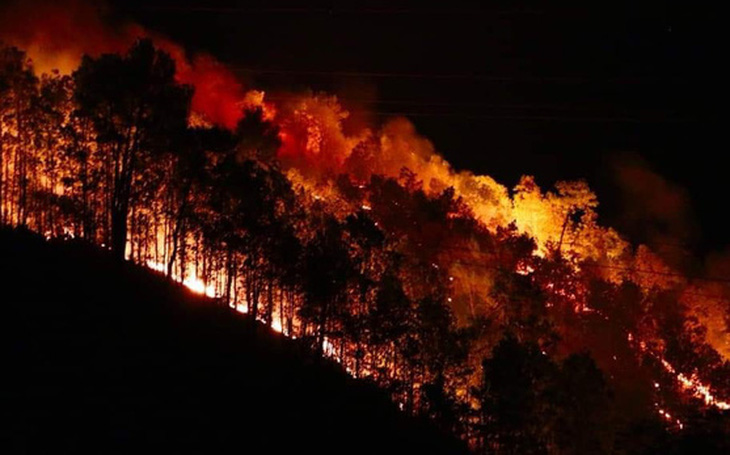 4 năm cả nước mất 6.400ha rừng do cháy