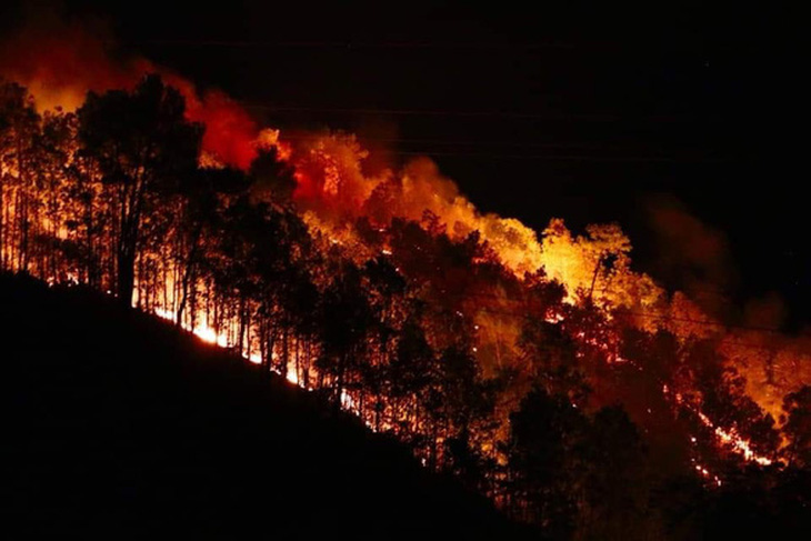 4 năm cả nước mất 6.400ha rừng do cháy - Ảnh 1.