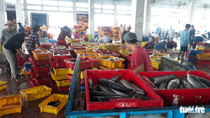 Hàng trăm tấn cá ồ ạt cập cảng Quy Nhơn sau bão số 6 - Ảnh 2.