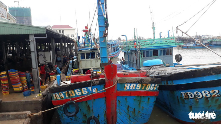 Hàng trăm tấn cá ồ ạt cập cảng Quy Nhơn sau bão số 6 - Ảnh 3.