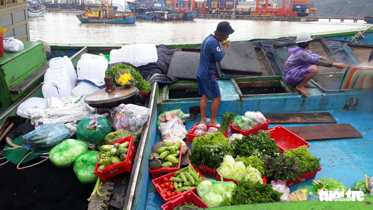Hàng trăm tấn cá ồ ạt cập cảng Quy Nhơn sau bão số 6 - Ảnh 8.