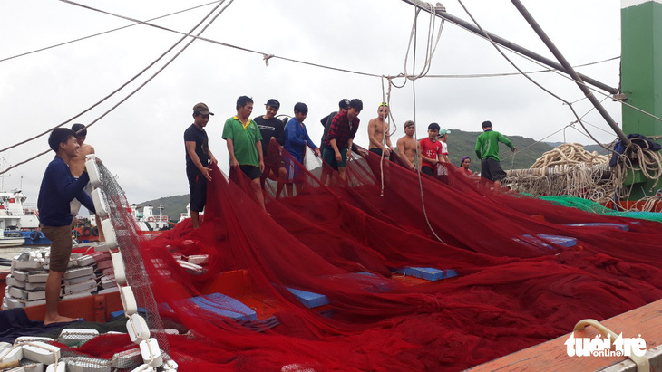 Hàng trăm tấn cá ồ ạt cập cảng Quy Nhơn sau bão số 6 - Ảnh 9.