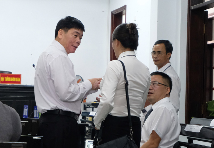 Vợ chồng luật sư Trần Vũ Hải bị phạt 12 tháng cải tạo không giam giữ - Ảnh 2.