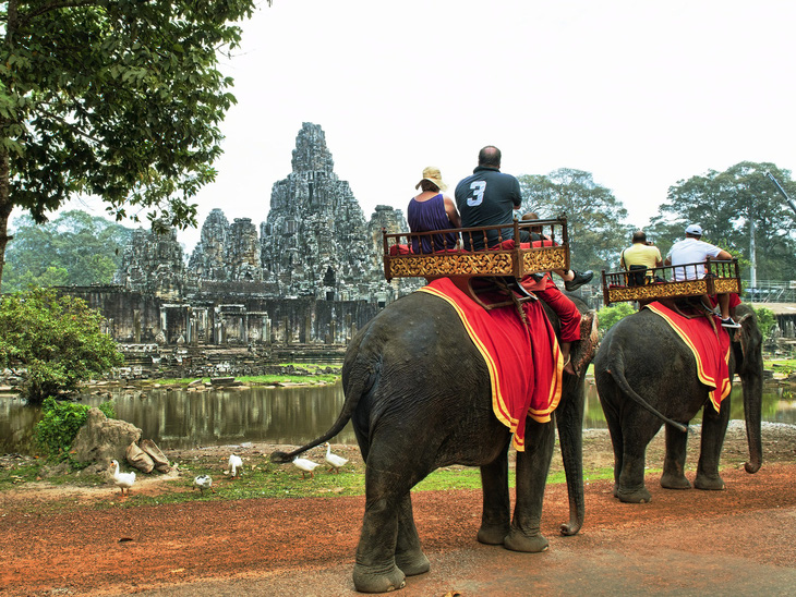 Campuchia cấm du khách cưỡi voi ở Angkor - Ảnh 1.