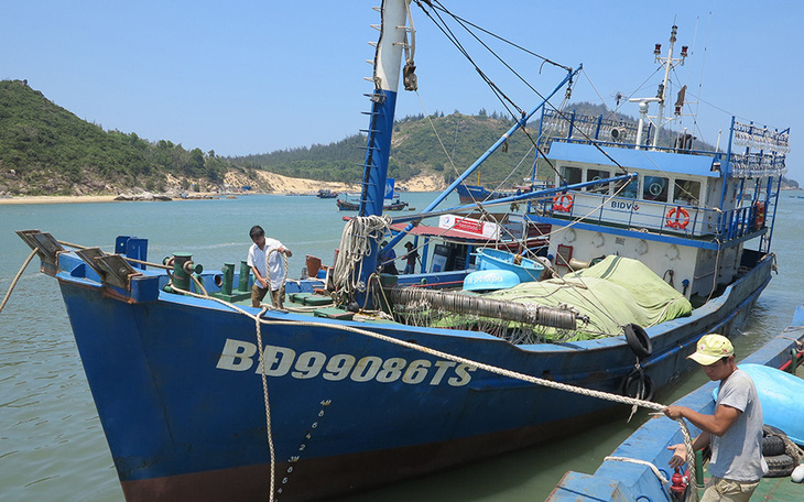 Bảo hiểm "chê" vì sợ lỗ, tàu vỏ thép hàng chục tỉ đồng nằm bờ