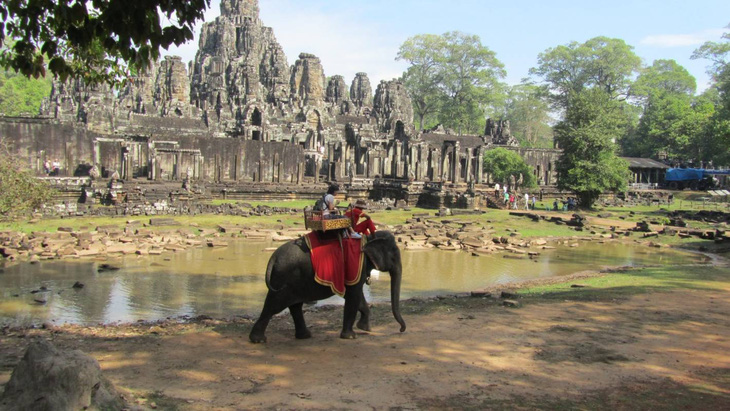 Campuchia cấm du khách cưỡi voi ở Angkor - Ảnh 2.