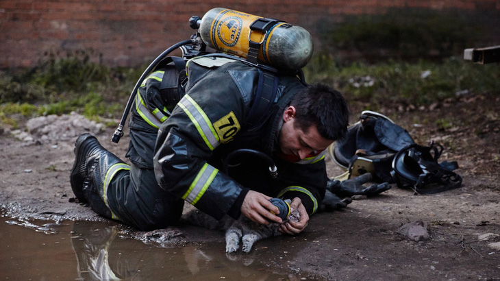 Lính PCCC giúp mèo thở oxy trong đám cháy thành ‘người hùng’ - Ảnh 3.