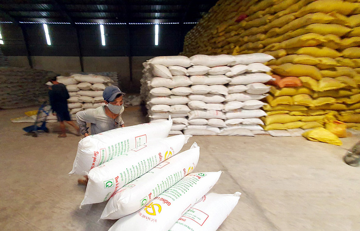 Xuất khẩu gạo phải thận trọng, tuyệt đối không để trong nước thiếu gạo - Ảnh 1.