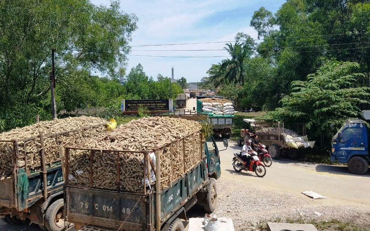 Xây khu dân cư không có giấy phép môi trường, một công ty bị phạt 300 triệu đồng - Ảnh 2.