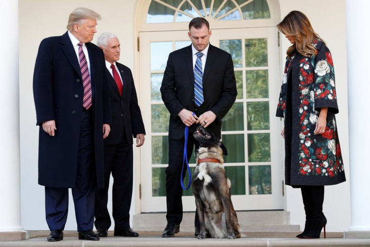 Ông Trump trao huân chương cho chó Conan hỗ trợ tiêu diệt trùm IS - Ảnh 1.