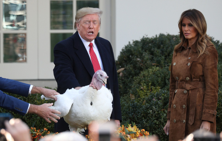 Ông Trump: Tới gà lôi còn sợ phe Dân chủ - Ảnh 1.