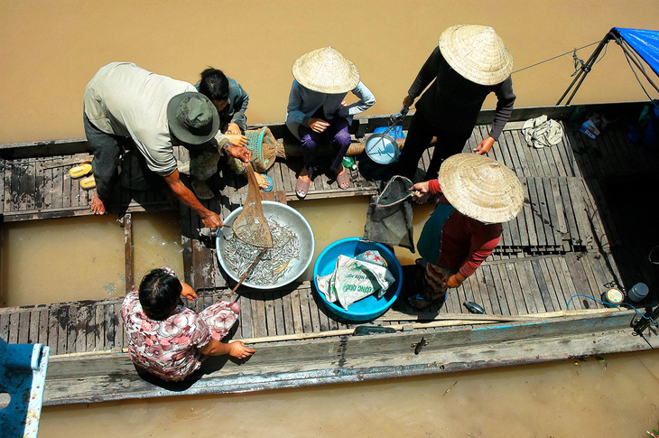 Thương nhớ những mùa cá linh - Kỳ 3: Mùa không đặng cá - Ảnh 1.