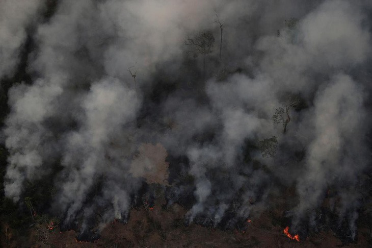 Leonardo DiCaprio bác cáo buộc nhúng tay vào vụ cháy rừng Amazon - Ảnh 2.