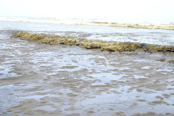 Nước biển đen như cà phê ở Dung Quất có nồng độ pH vượt mức cho phép - Ảnh 3.