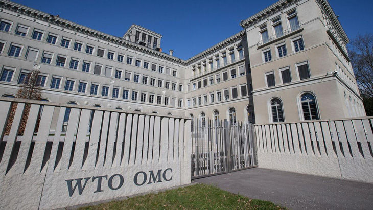 WTO cảnh báo xu hướng lực lượng lao động giảm mạnh tại nhiều nước - Ảnh 1.