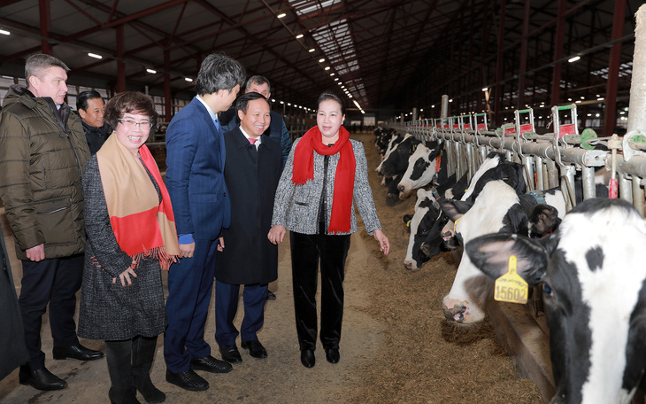 Chủ tịch Quốc hội thăm dự án sữa của doanh nghiệp Việt ở Nga