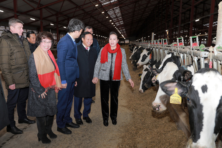 Chủ tịch Quốc hội thăm dự án sữa của doanh nghiệp Việt ở Nga - Ảnh 1.