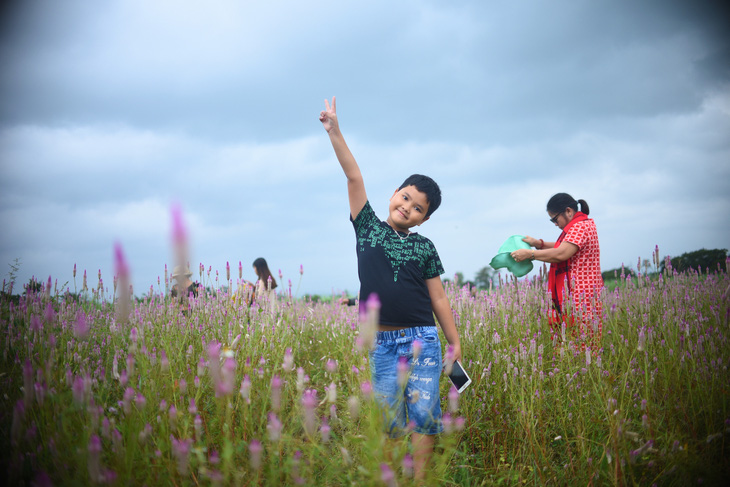 Cánh đồng hoa dền cát trời cho đẹp lạ lùng ở Phú Yên - Ảnh 6.