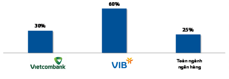 Hiệu quả kinh doanh của VIB & Vietcombank sau khi triển khai Basel II - Ảnh 7.