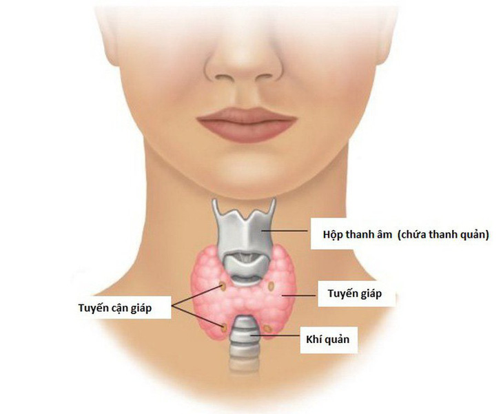 Israel đột phá trong phương pháp phát hiện ung thư tuyến giáp - Ảnh 1.