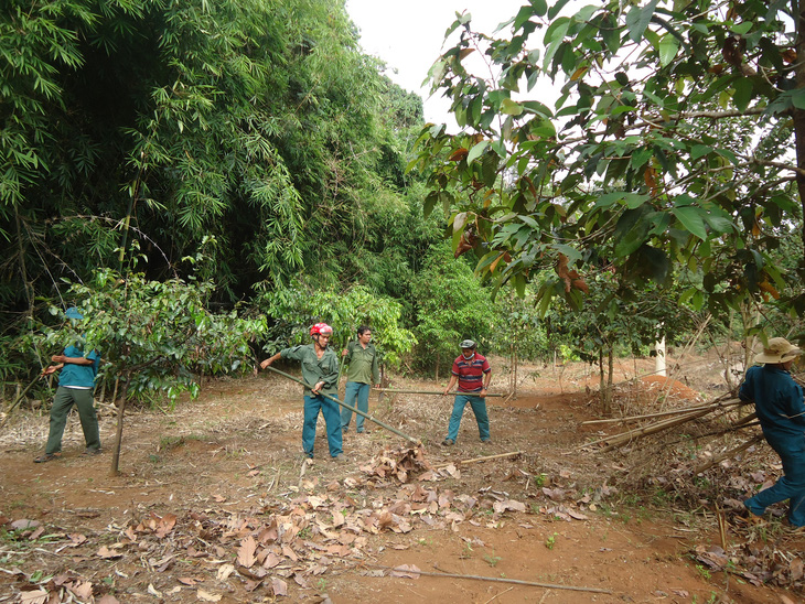 Chi sai hàng tỉ đồng trong quản lý, bảo vệ rừng ở Bình Phước - Ảnh 1.