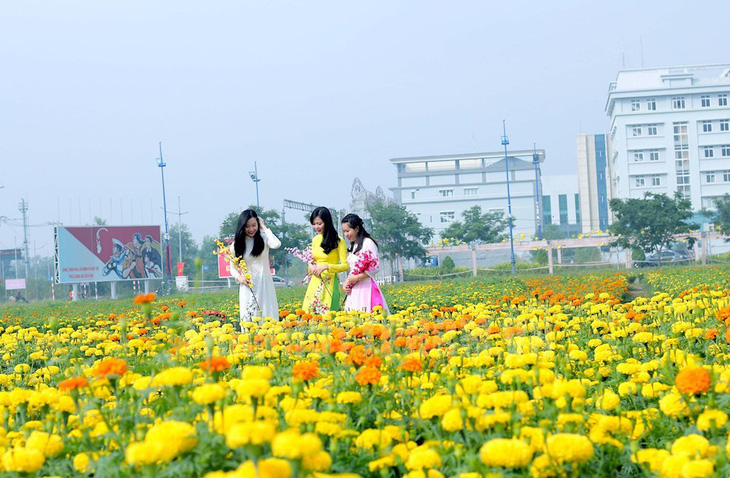 Phát triển đường hoa mai vàng Bình Chánh thành đặc sản du xuân - Ảnh 2.
