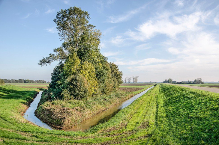 Chính phủ Hà Lan phải mua lại đất của dân làm đầm lầy thoát nước - Ảnh 2.