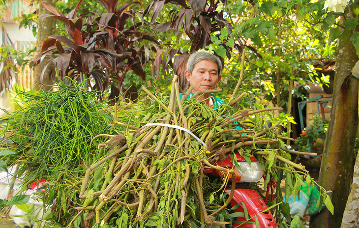 Bệnh viện  tình thương - Ảnh 3.