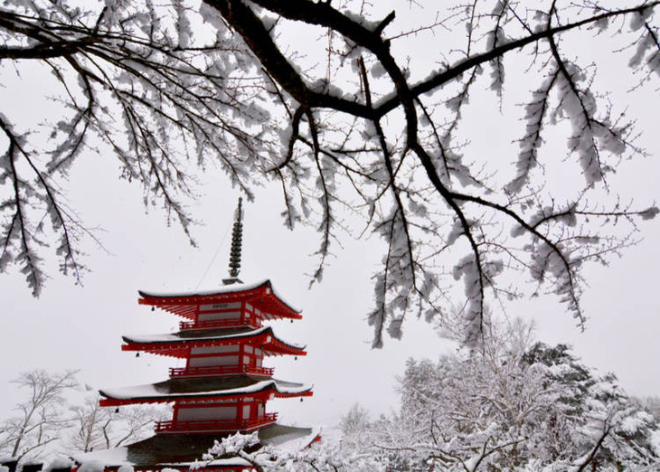Ngắm tuyết trắng, anh đào ở Nhật Bản tháng 2 - Ảnh 1.