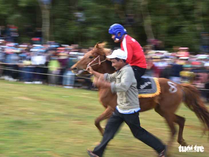 Chết cười với cuộc đua của các chị ngựa thồ ở Phú Yên - Ảnh 4.