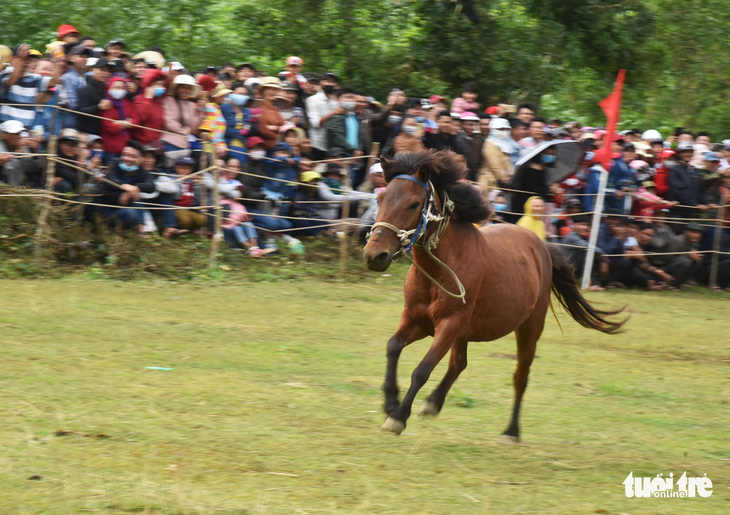 Chết cười với cuộc đua của các chị ngựa thồ ở Phú Yên - Ảnh 6.