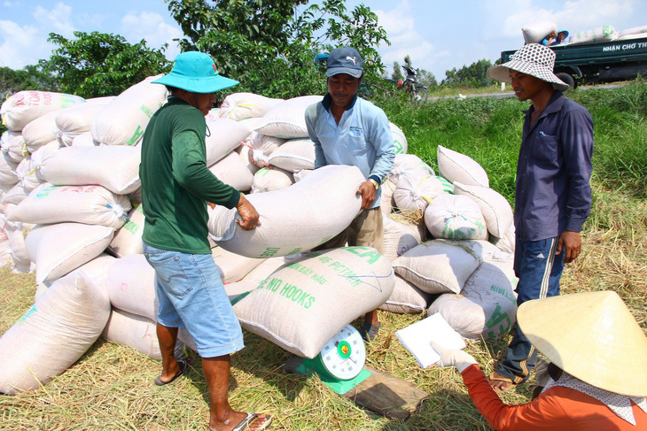 Trung Quốc áp thuế cao, xuất khẩu gạo Việt gặp khó - Ảnh 1.