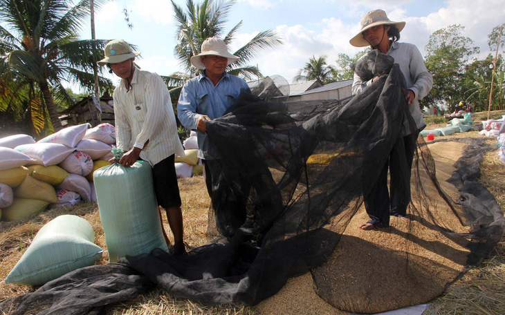 Giá lúa nhích lên, nông dân vẫn khó bán