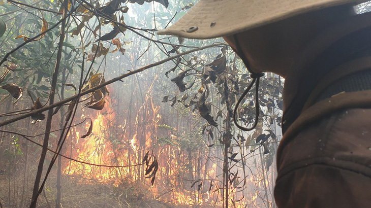 Huy động hơn 100 người chữa cháy rừng - Ảnh 1.