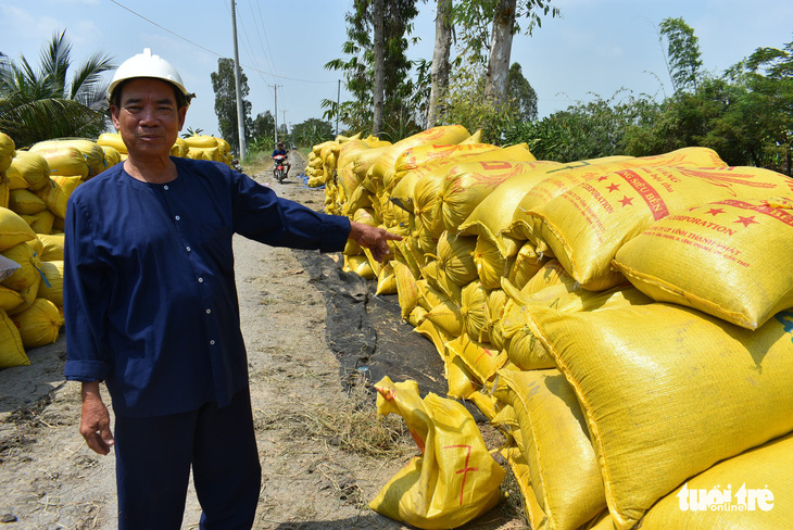 Nông dân khốn khổ vì doanh nghiệp bẻ kèo thu mua lúa - Ảnh 2.