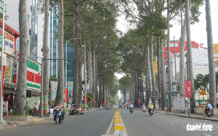 Thành phố ngày đầu năm với những nút giao thông... yên bình - Ảnh 10.