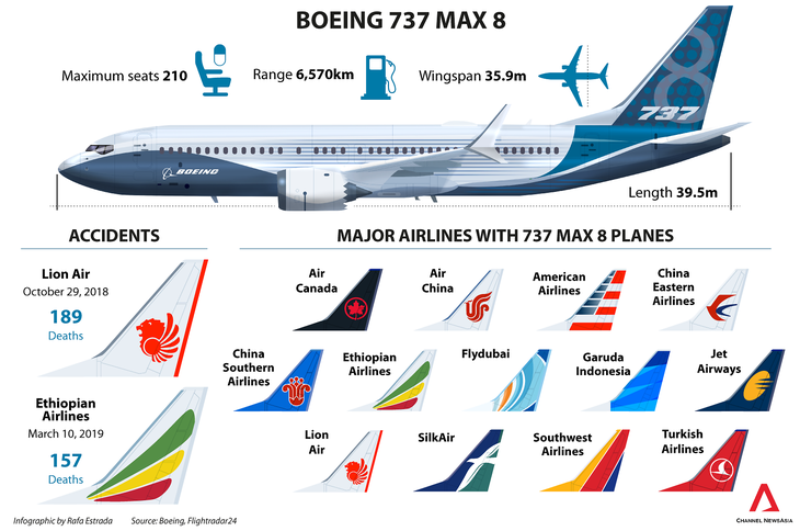Singapore tạm ngừng hoạt động của mọi máy bay Boeing 737 MAX - Ảnh 2.