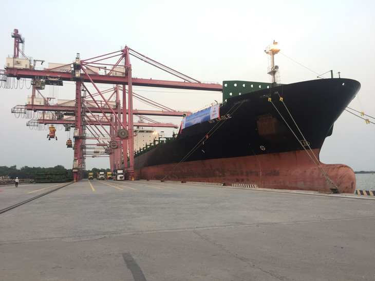 TP.HCM đón tàu khủng chuyển hàng hoá trực tiếp từ Australia - Ảnh 1.